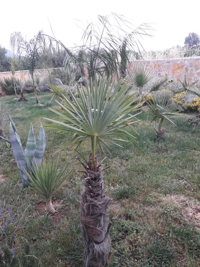 Palm Paradise Stobreč Eksteriør billede